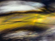 Color and Movement in Nature