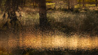 Constructed Abstractions