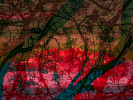 Inspired by Las Vegas