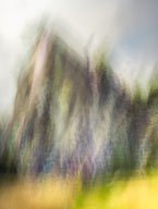 Inspired by Quincy Quarries Reservation