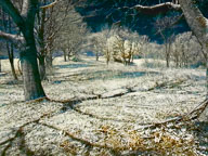 Exploring Infrared Landscape